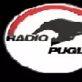 RADIO PUGLIA - FM 90.2